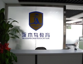 啄木鳥教育喜獲2500萬元投資，專注深化留學咨詢服務